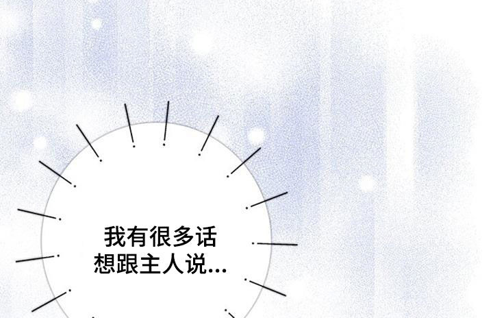 第62章：逃避23