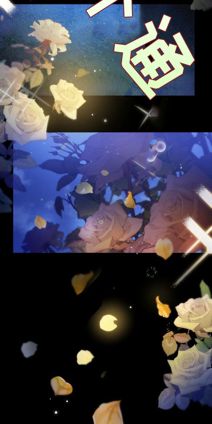 第35章：忘记一切13