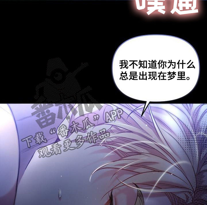 第35章：忘记一切16