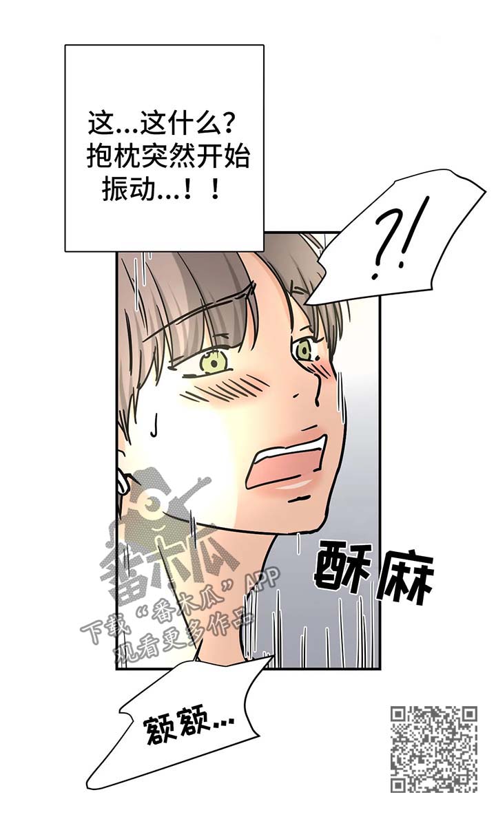 第17章：抱枕9