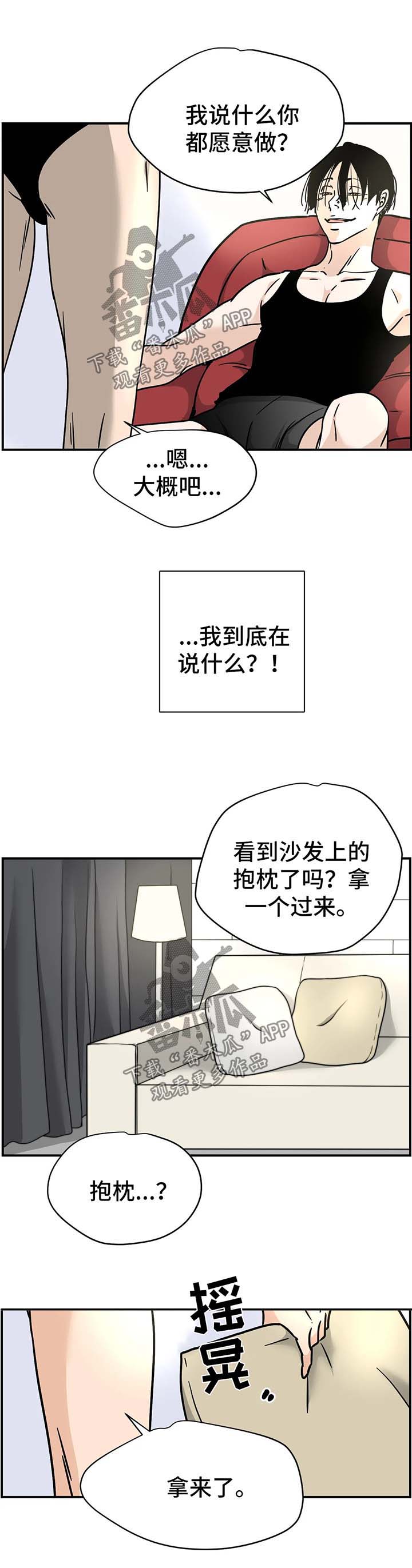 第17章：抱枕6