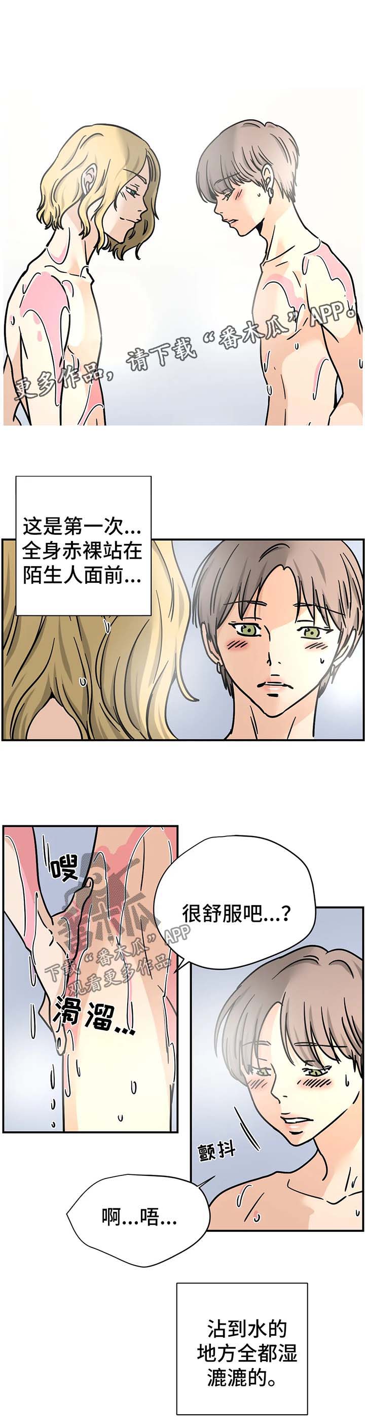 第20章：专家6