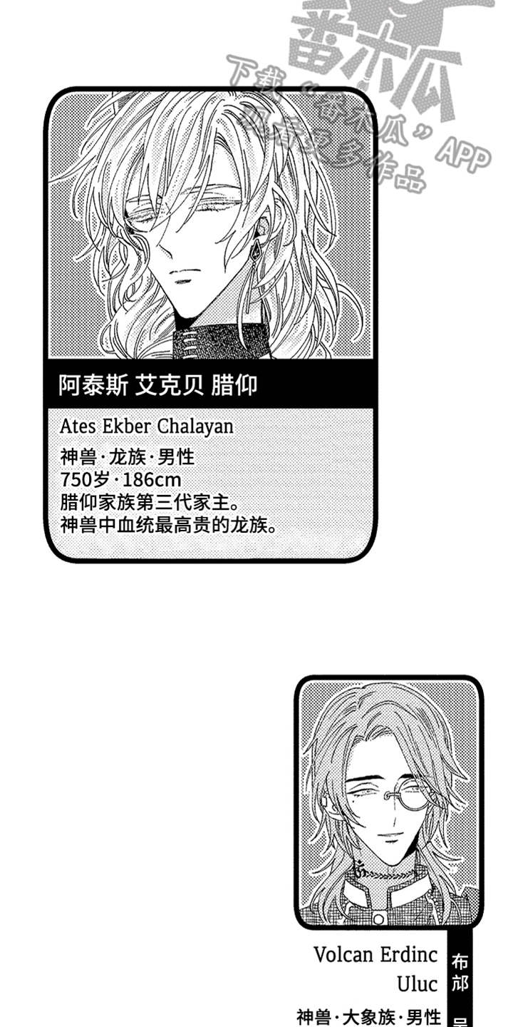 第12章：搞不懂11