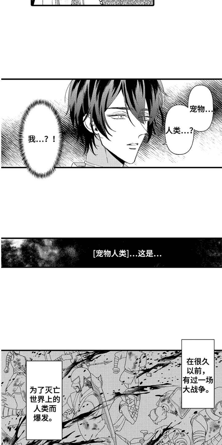 第2章：宠物1