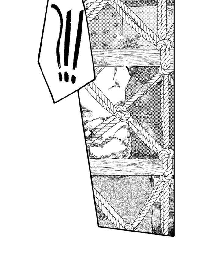 第6章：返乡17