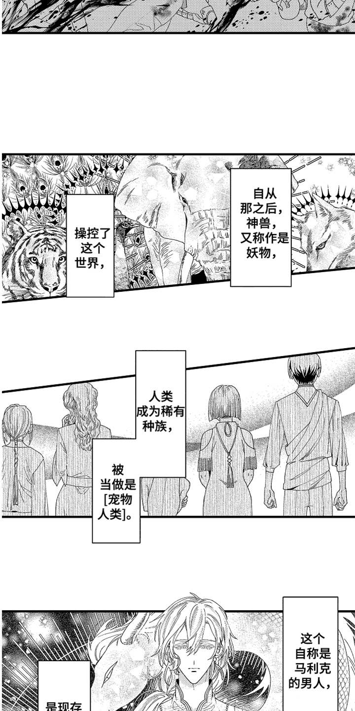 第2章：宠物2