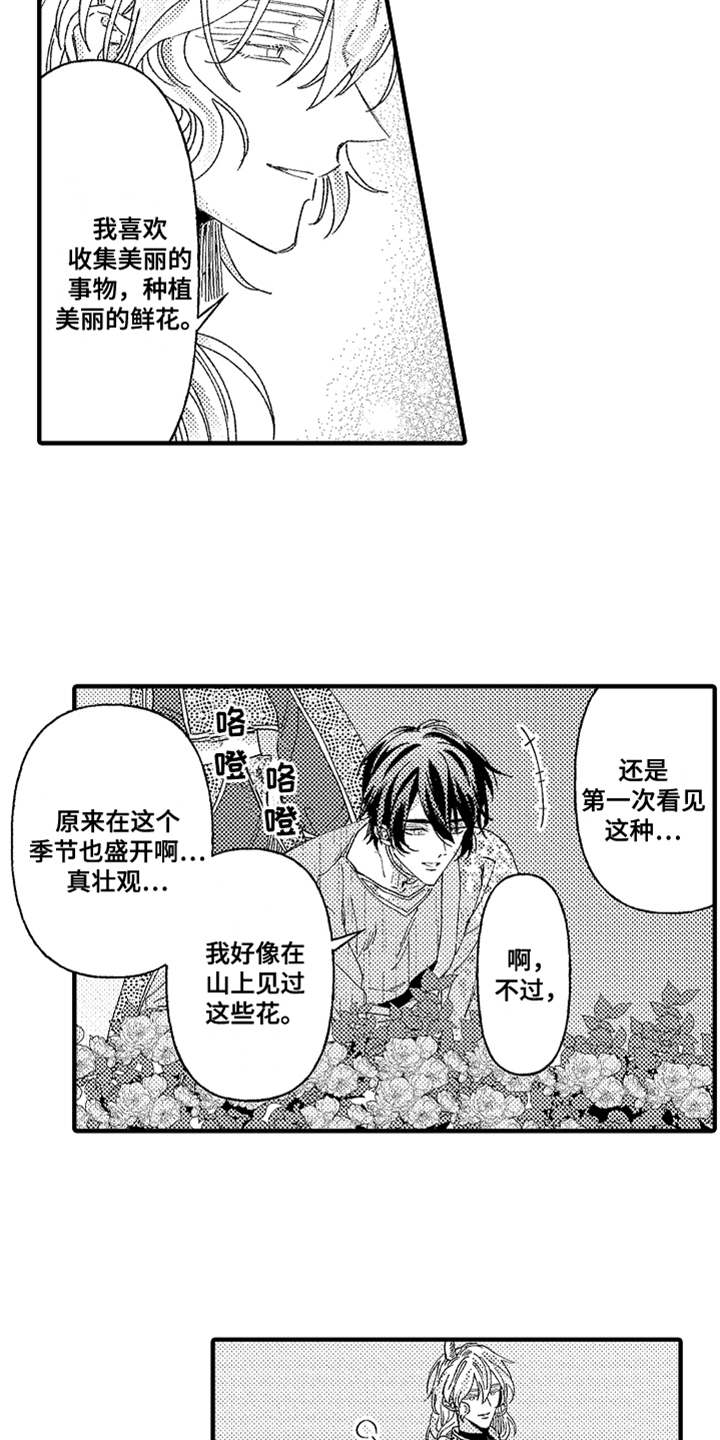 第5章：花园14