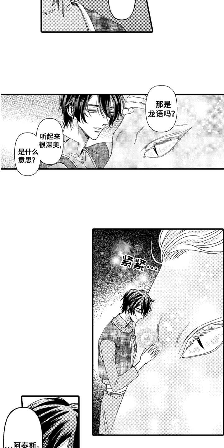 第10章：太美了12