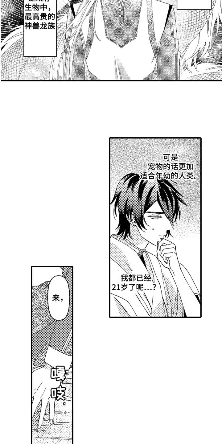 第2章：宠物3