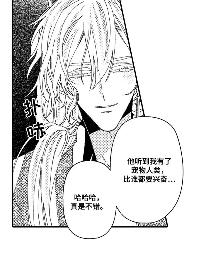 第2章：宠物15