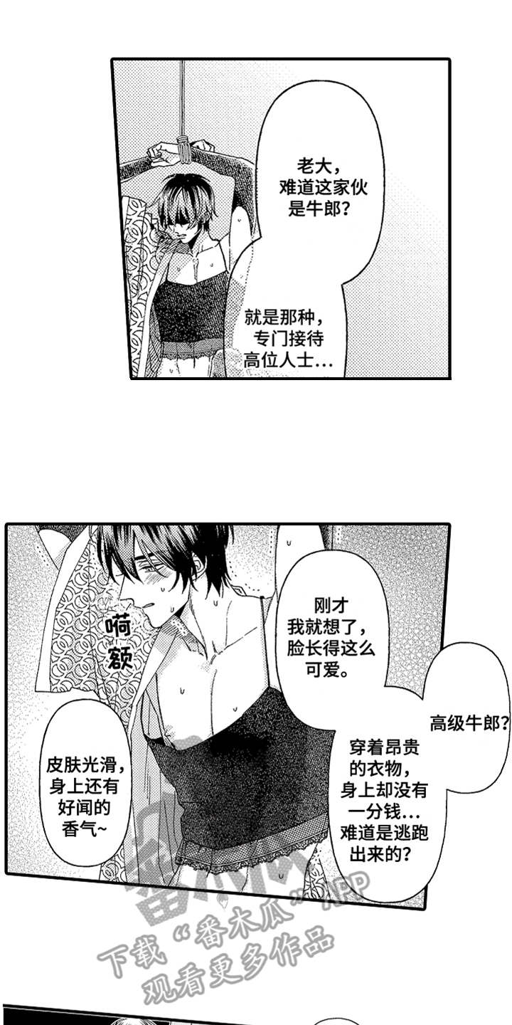 第19章：搜寻0
