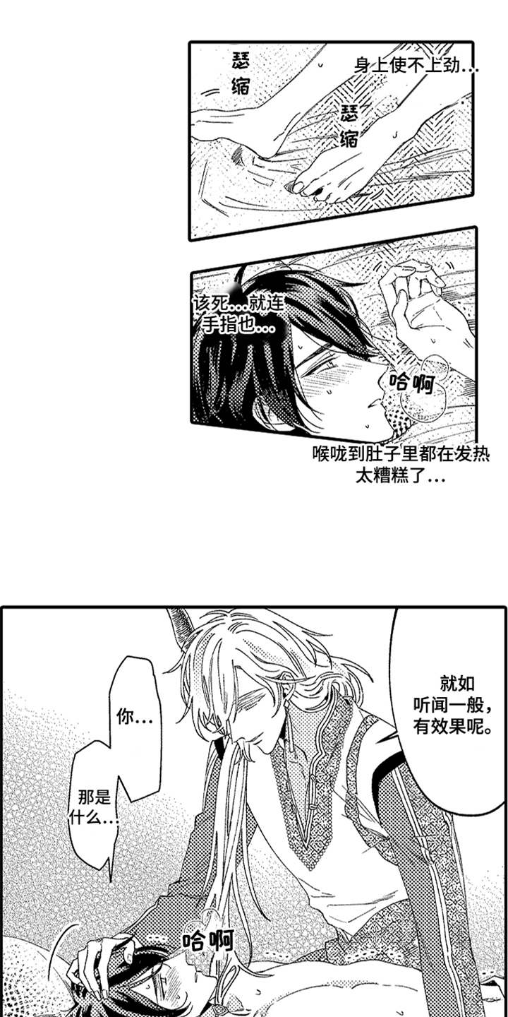 第2章：宠物13