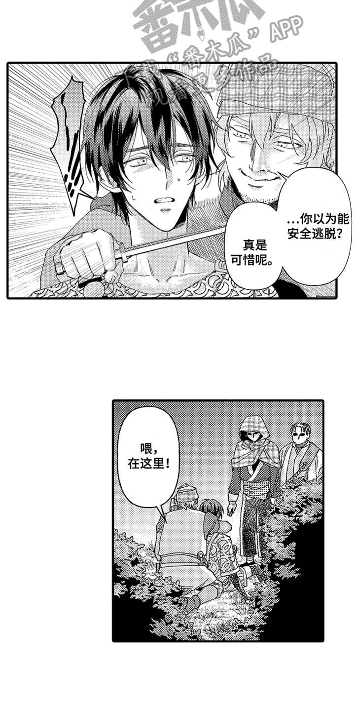 第17章：山贼10