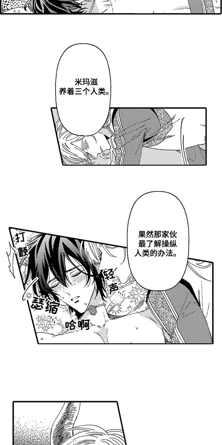 第2章：宠物14