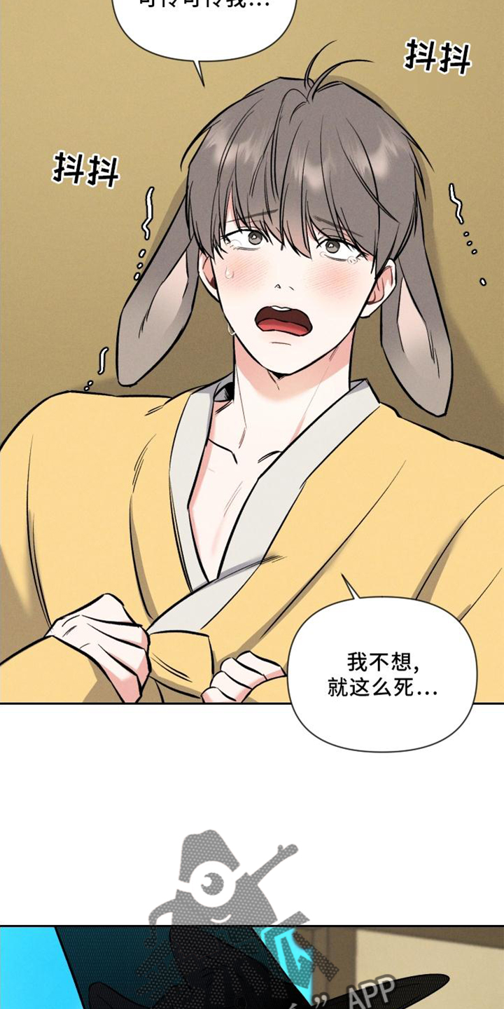 第39章：兔子【特别篇】20