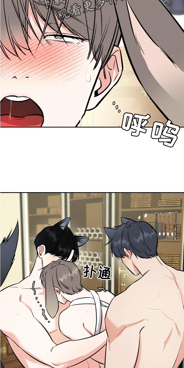 第40章：狼【特别篇】16