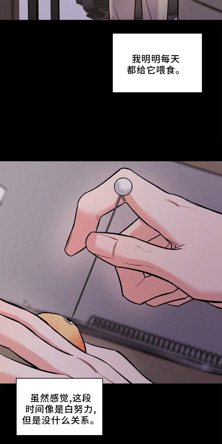 第31章：该做的16