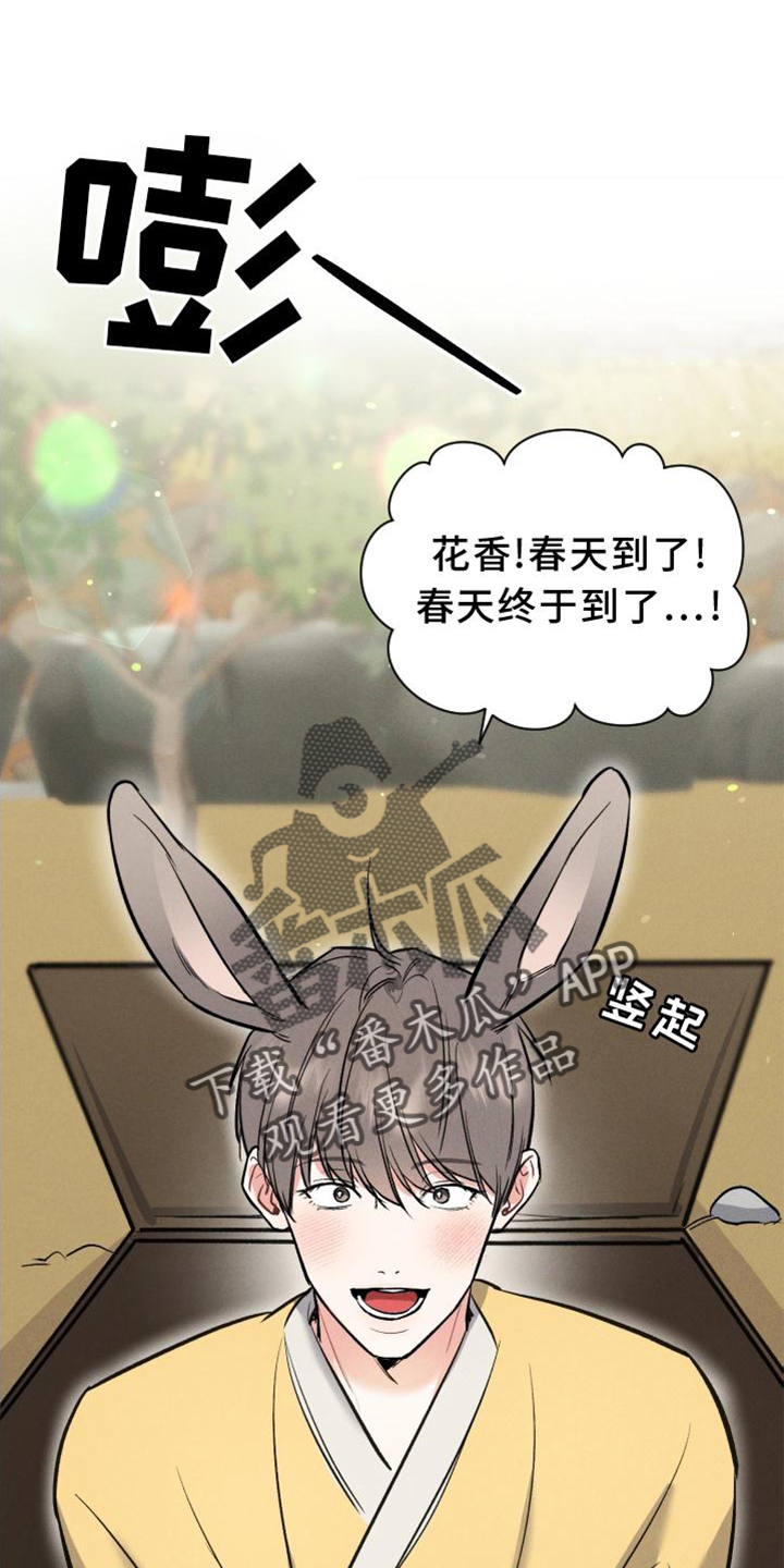 第39章：兔子【特别篇】5