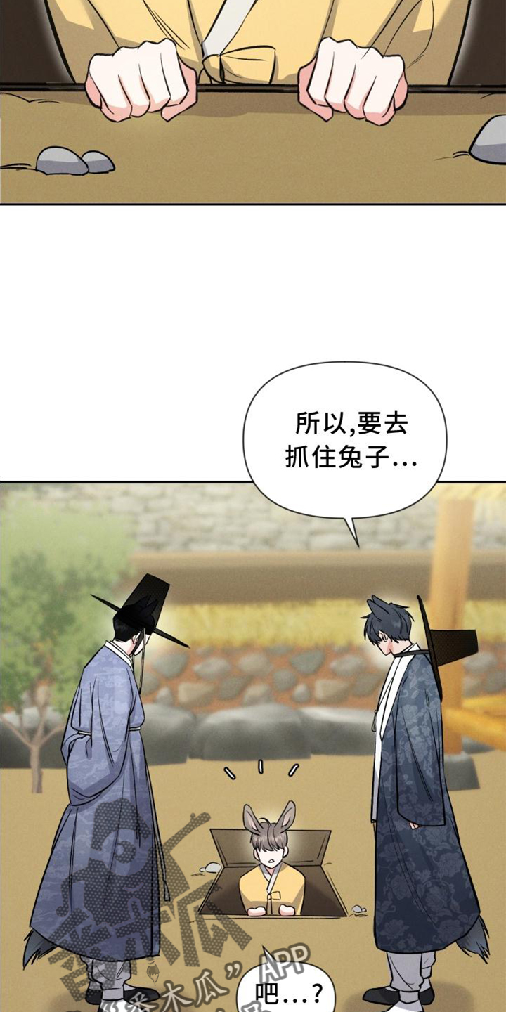 第39章：兔子【特别篇】6