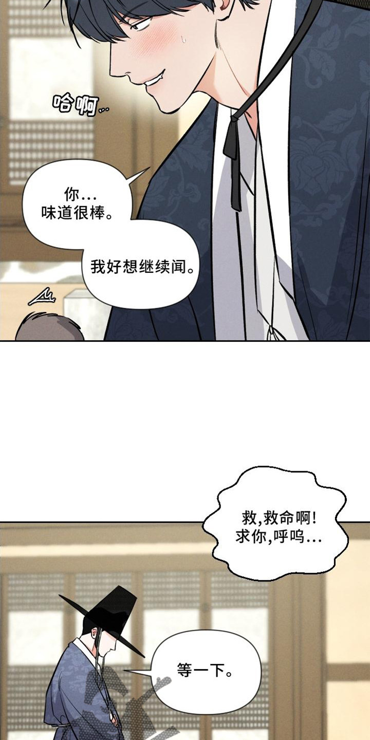第39章：兔子【特别篇】17