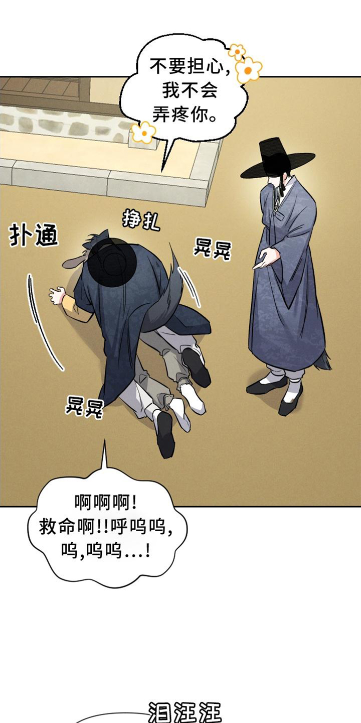 第39章：兔子【特别篇】15