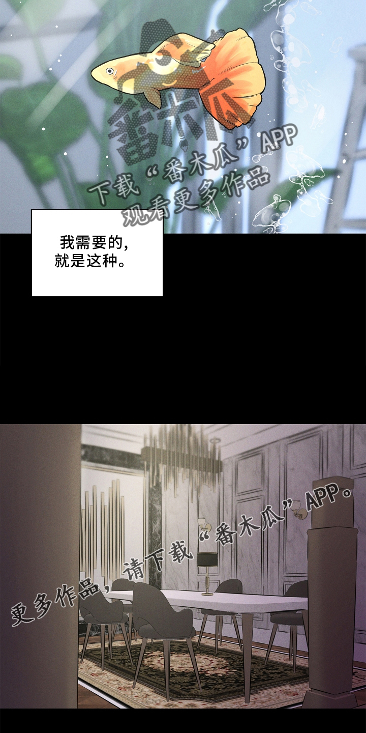 第31章：该做的11
