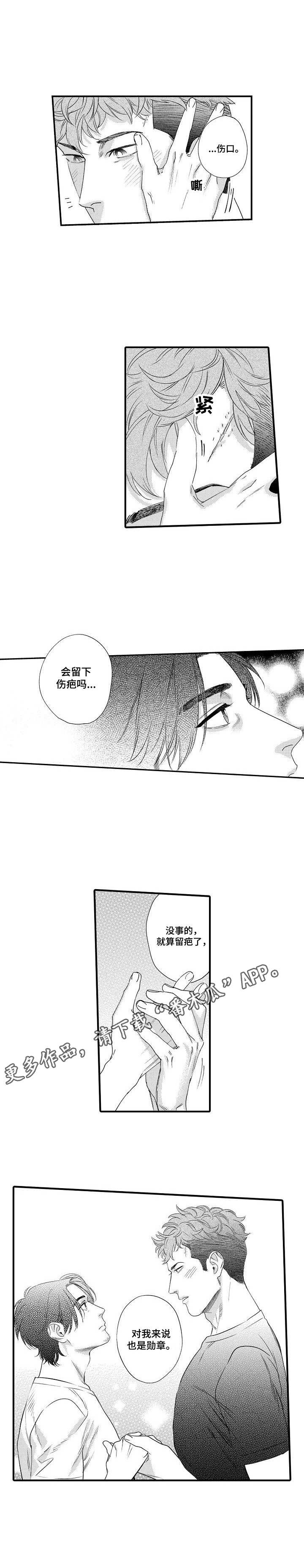 第19章：勋章10