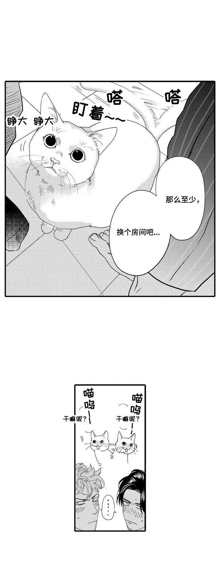 第20章：认真的4