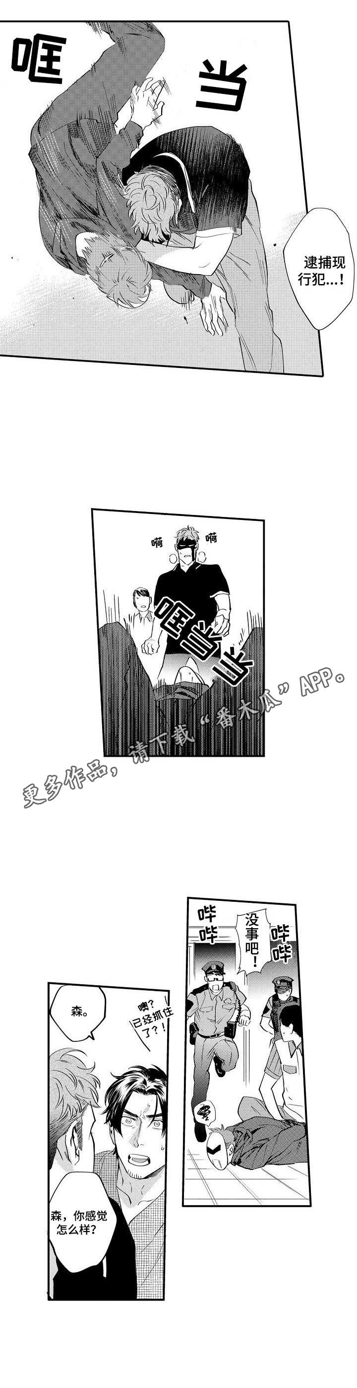 第17章：保护8