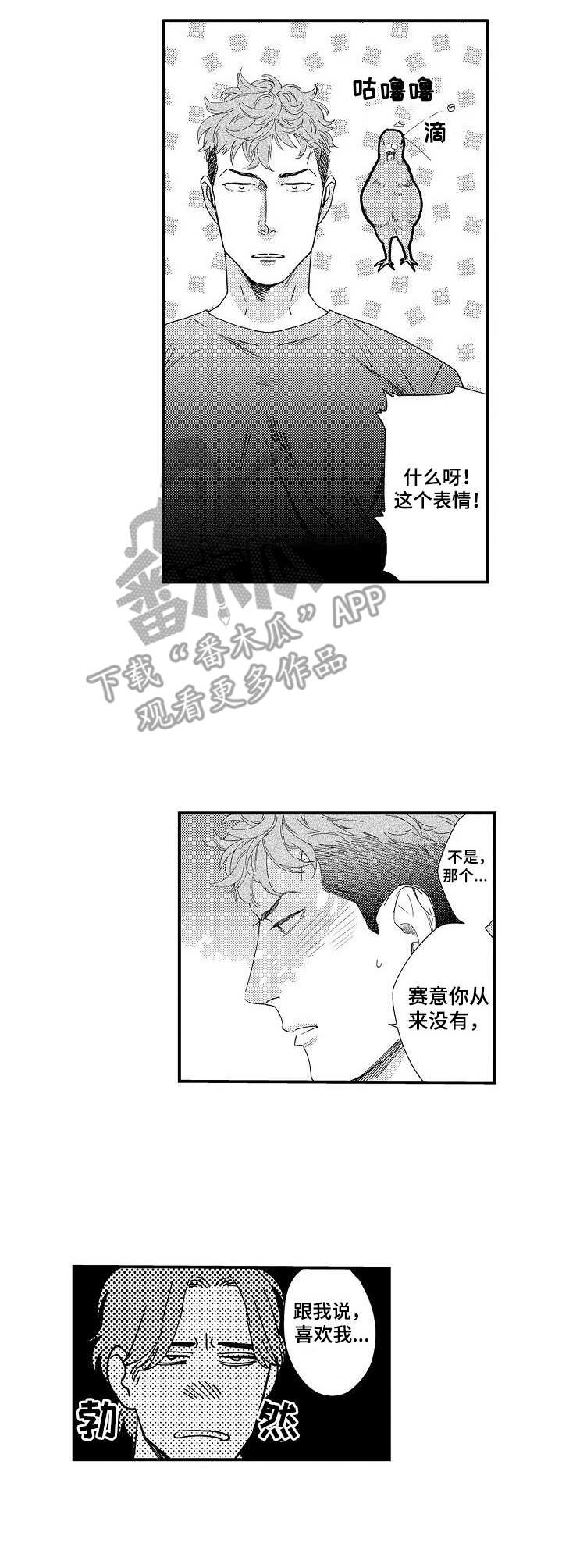第19章：勋章2