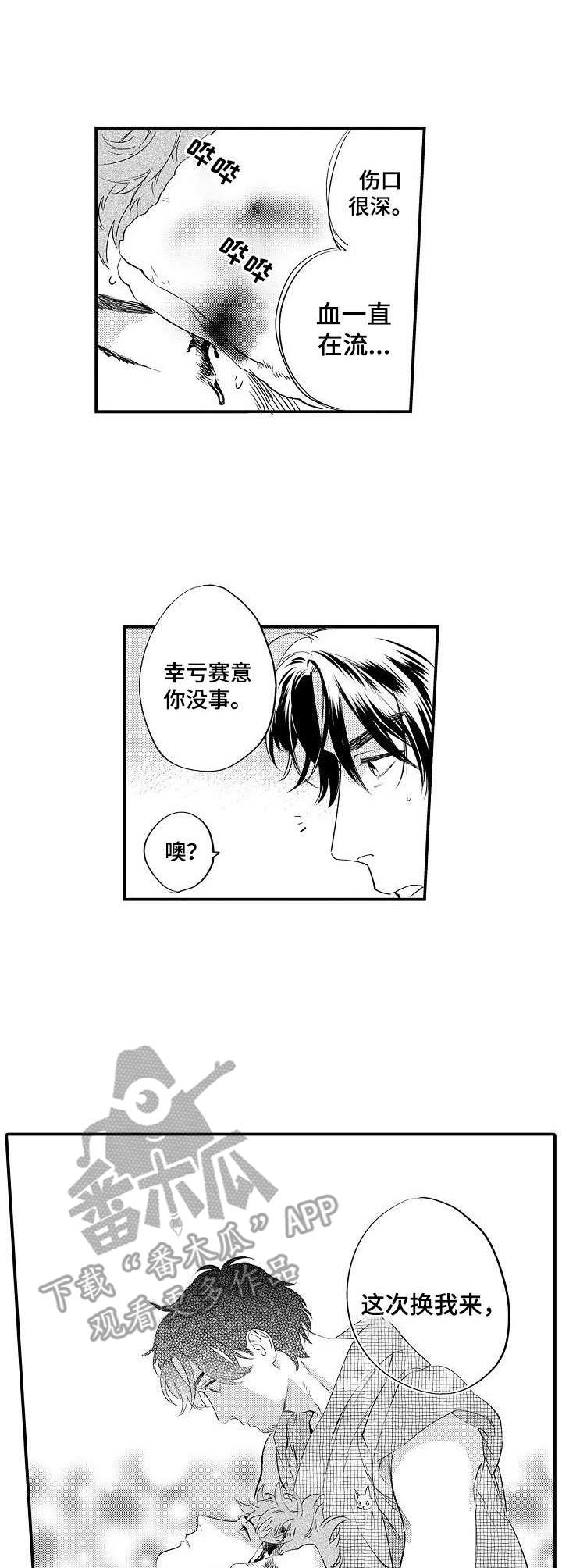 第17章：保护10