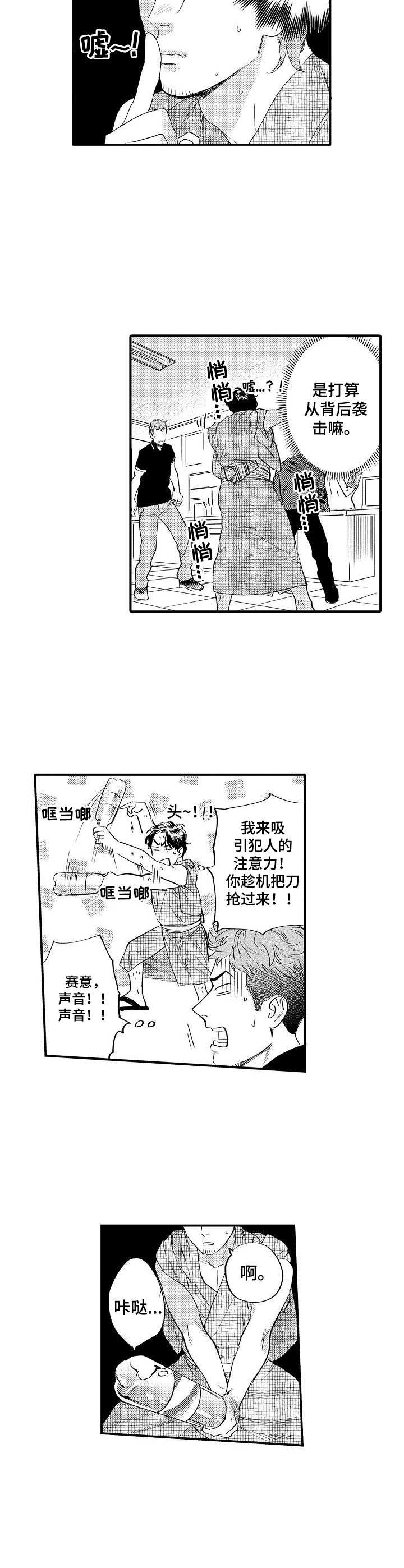 第17章：保护1