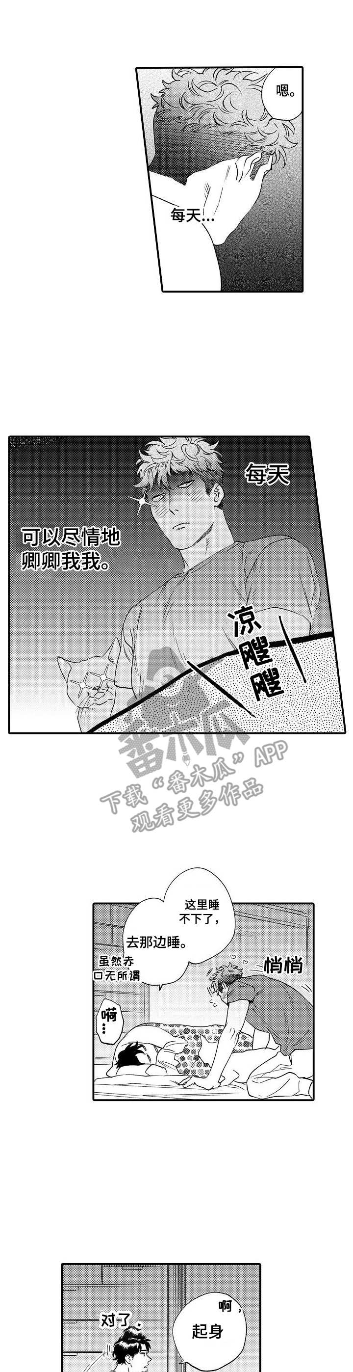 第26章：禁止期8