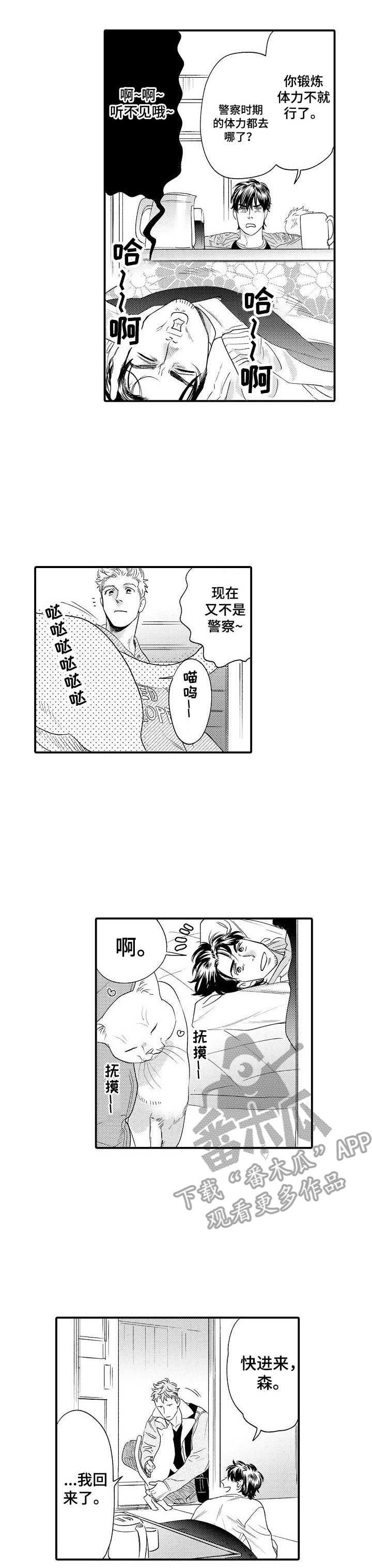 第28章：缓解0