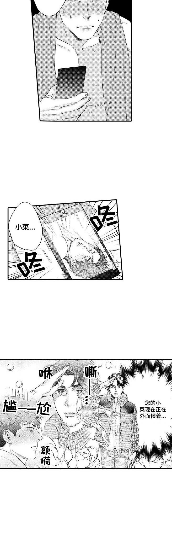 第28章：缓解11