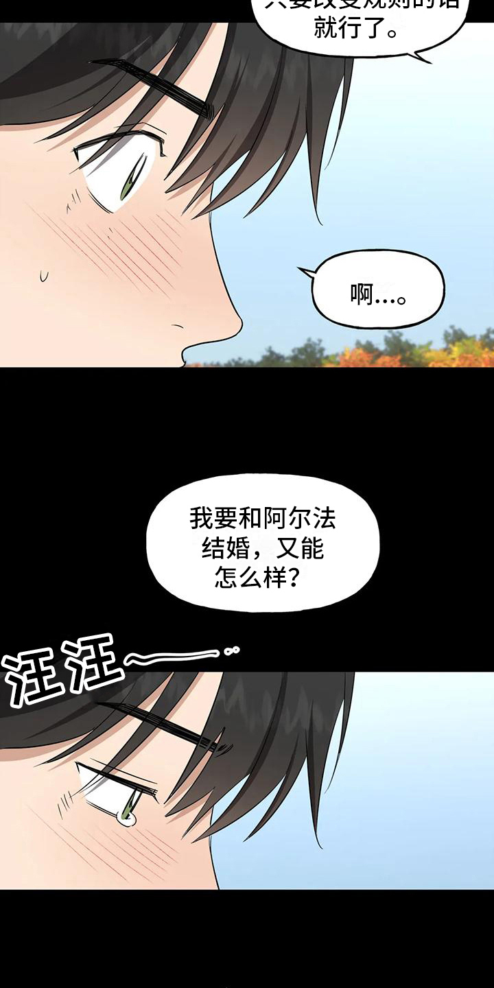 第5章：约定11