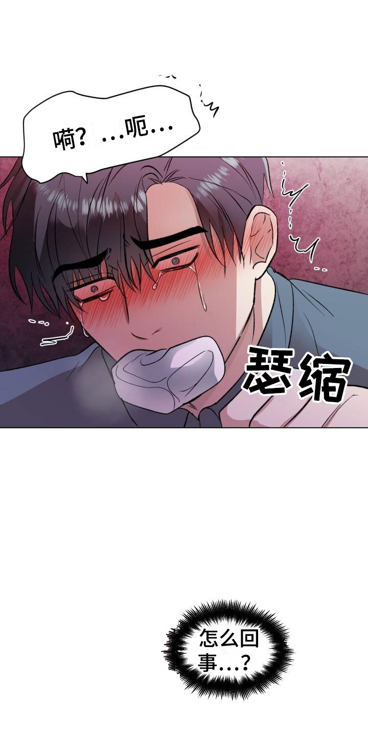 第7章：真了不起8