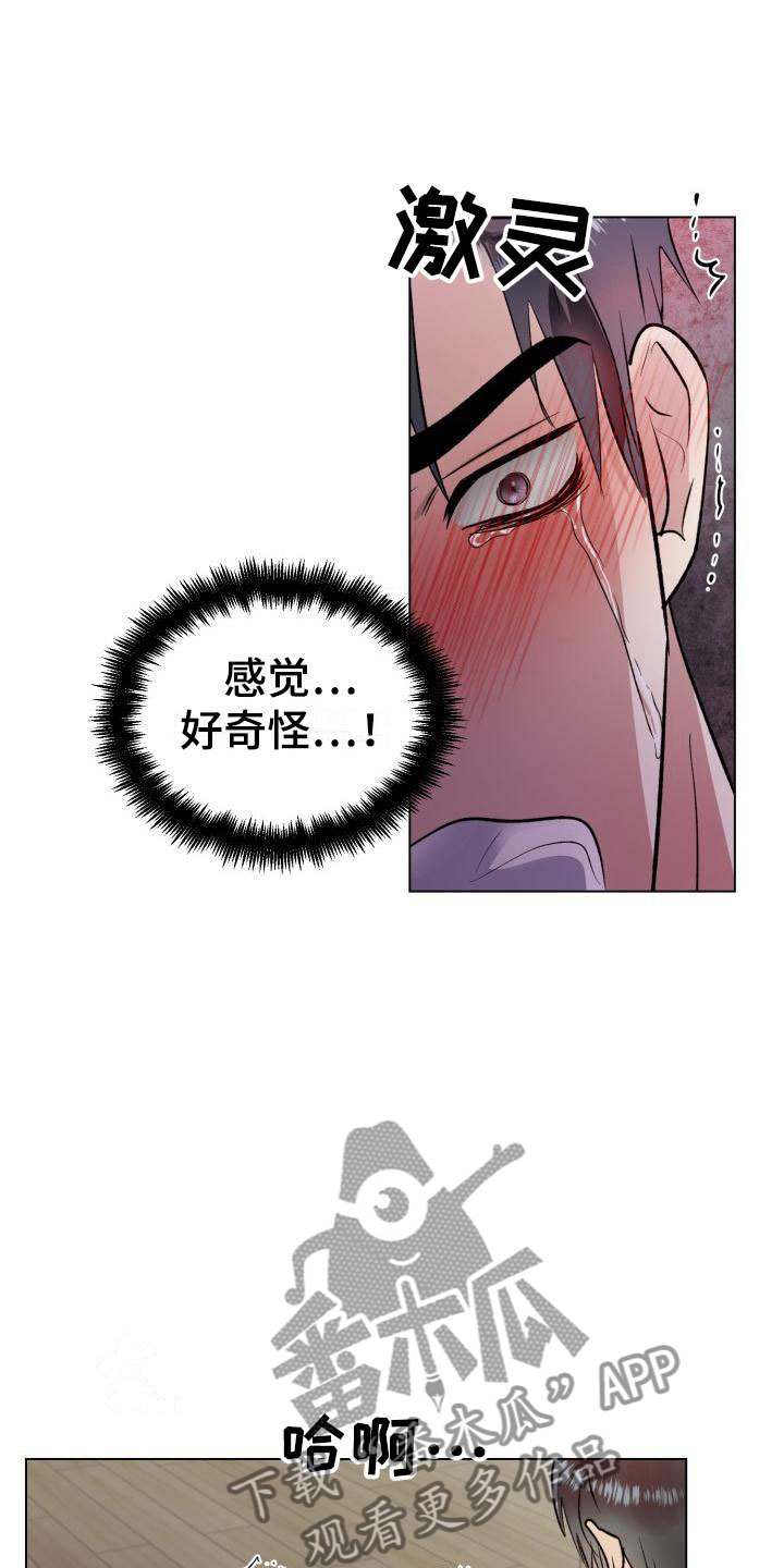 第7章：真了不起9