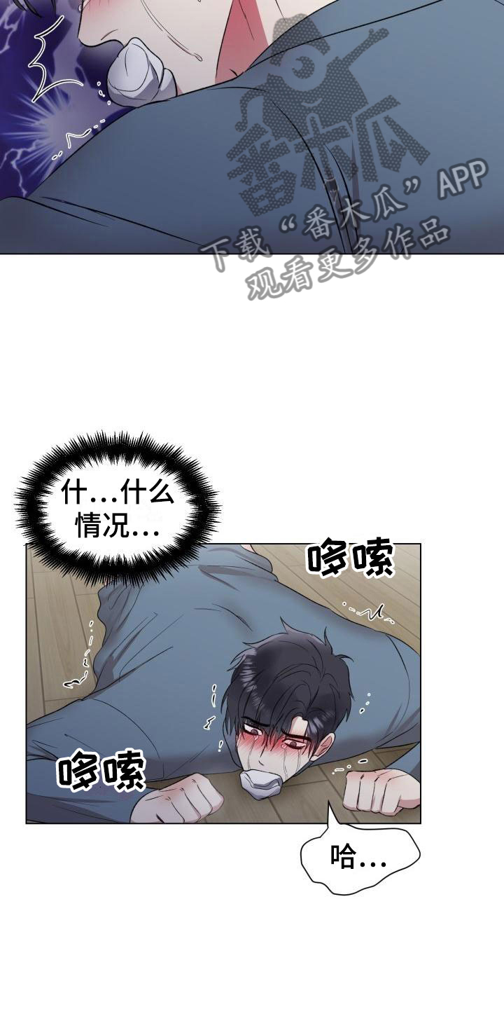 第7章：真了不起5