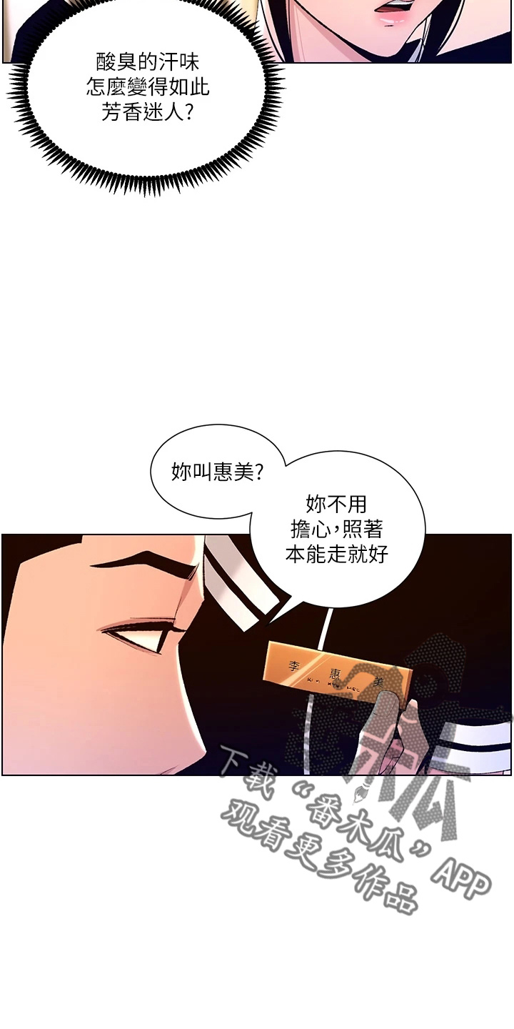 第36章：都会买18
