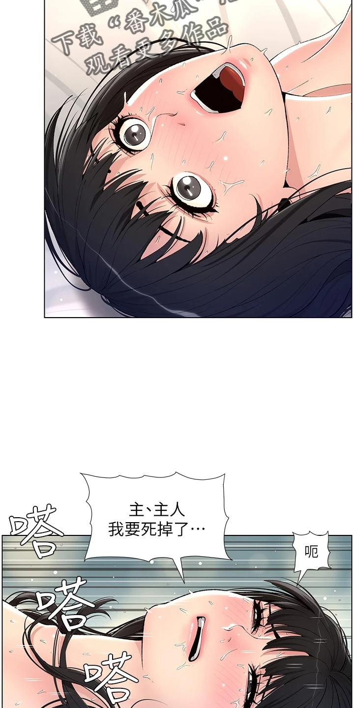 第21章：凶恶8