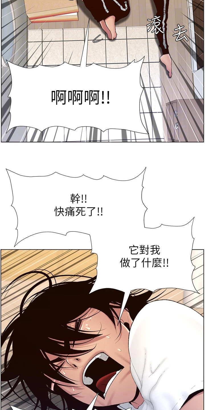 第4章：强化外观13