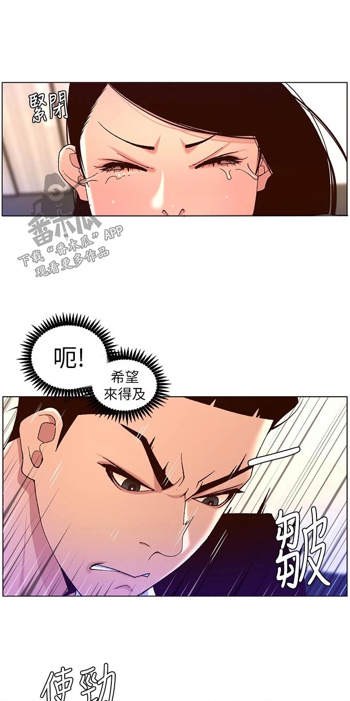 第73章：调查12