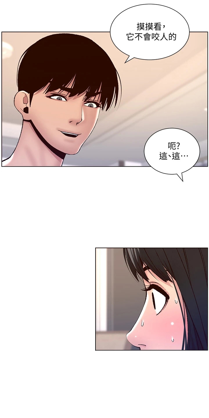 第20章：睡着了5