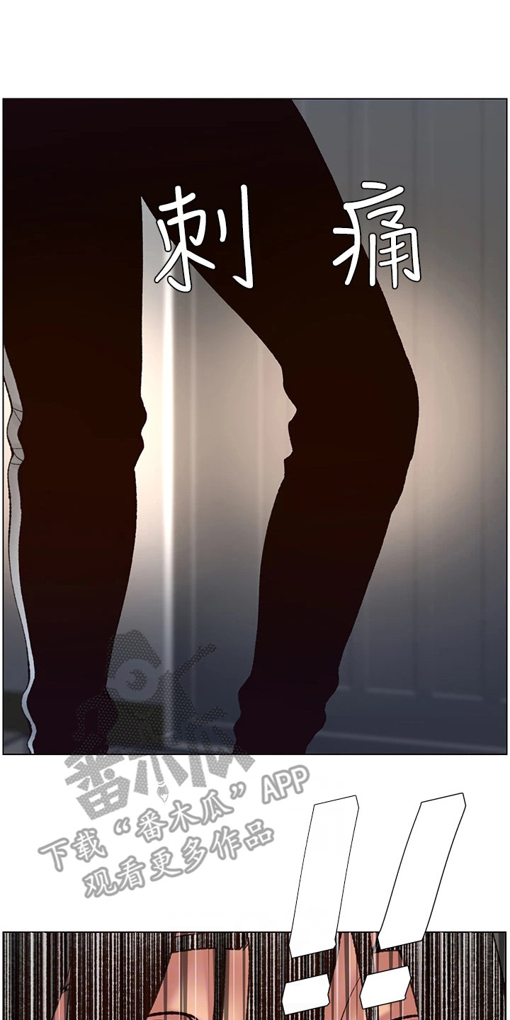 第4章：强化外观11
