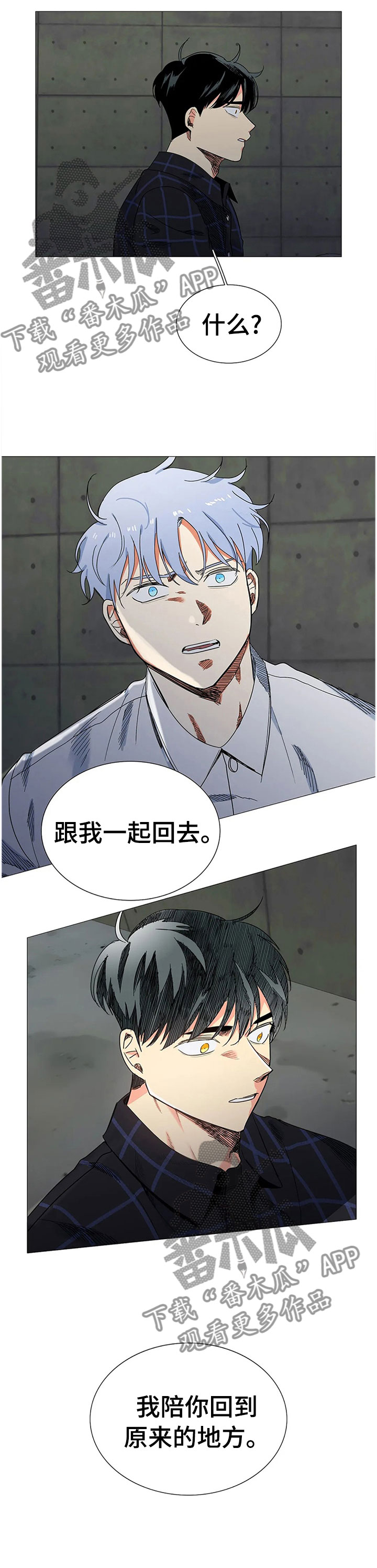 第78章：警察来了13