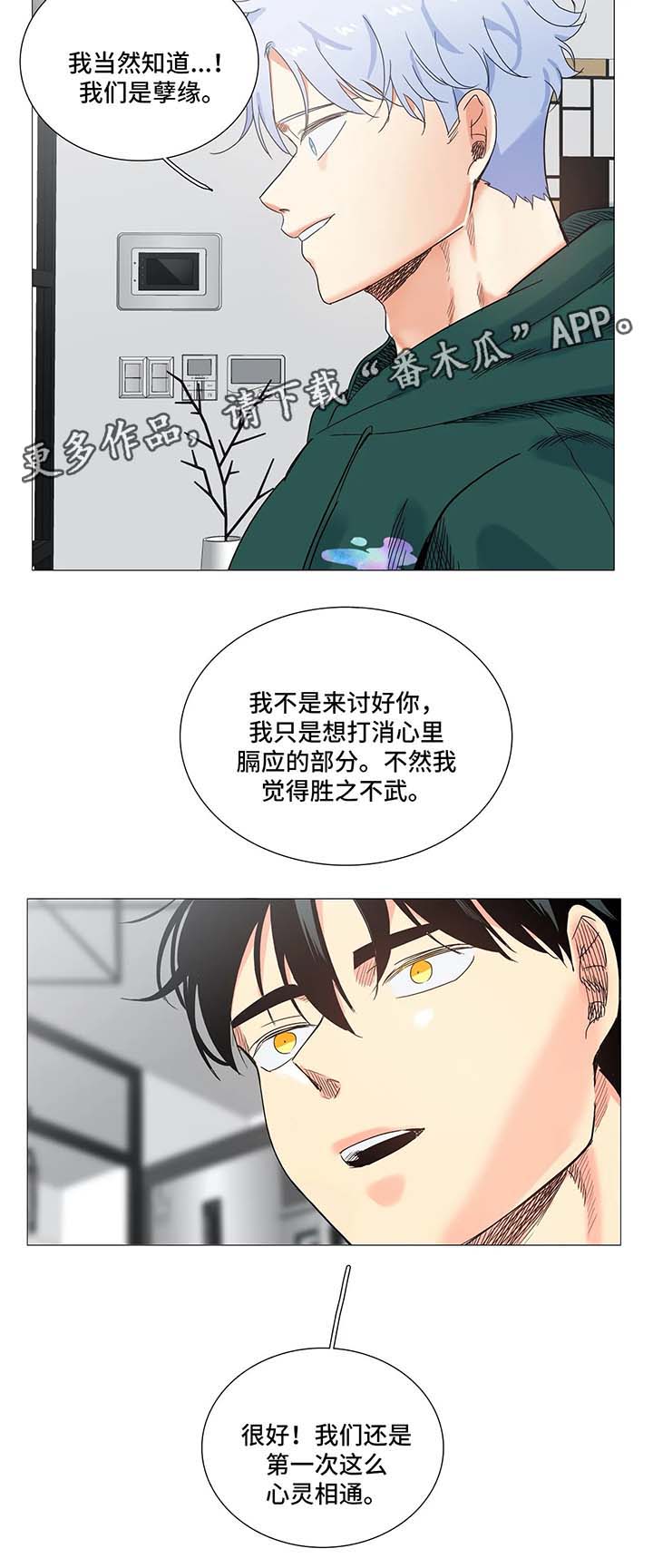第44章：孽缘7