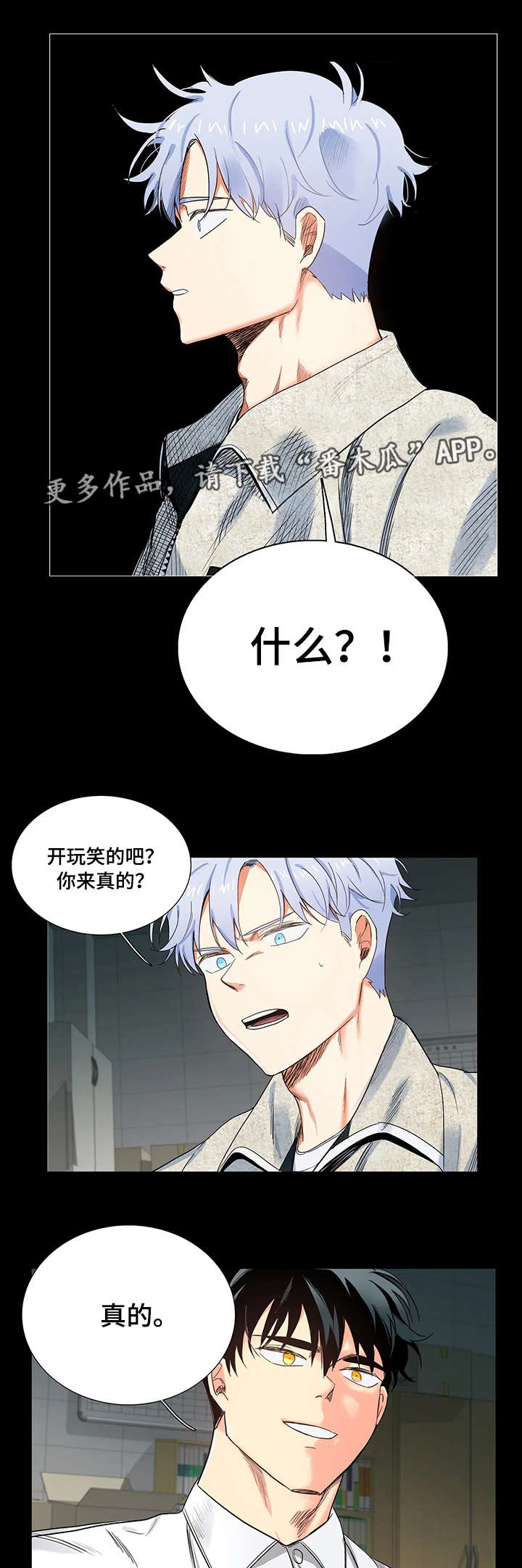 第14章：命令3