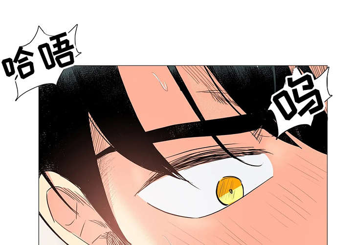 第10章：动真格的9