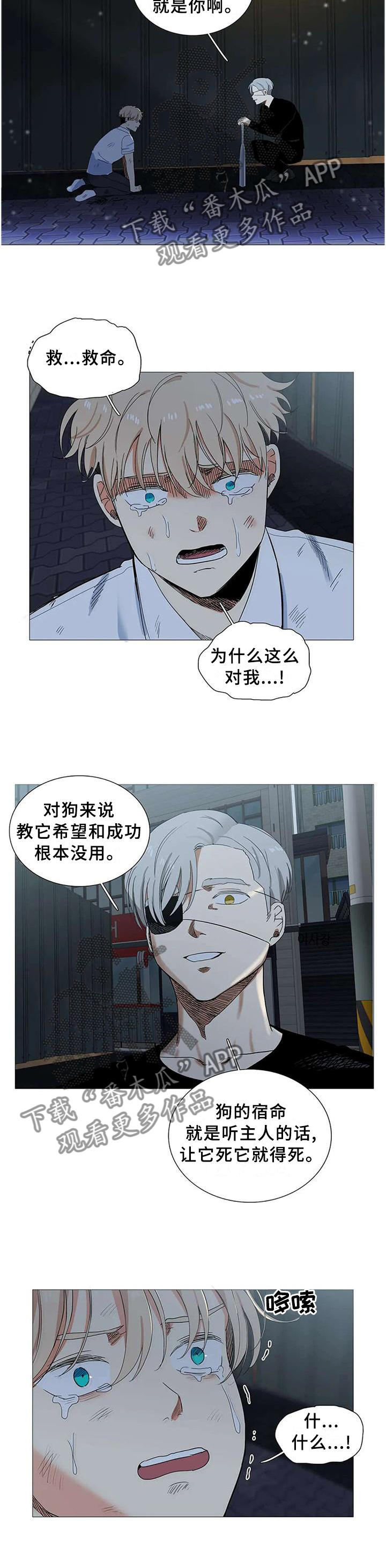 第68章：没事的6